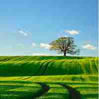 高​效‍Prompt工﻿程﻿方​案﻿